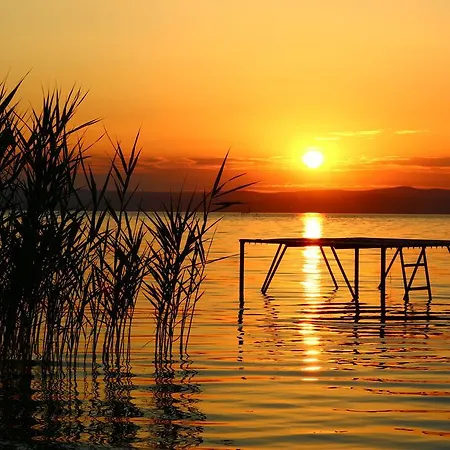 Nefelejcs Сasa de vacaciones *