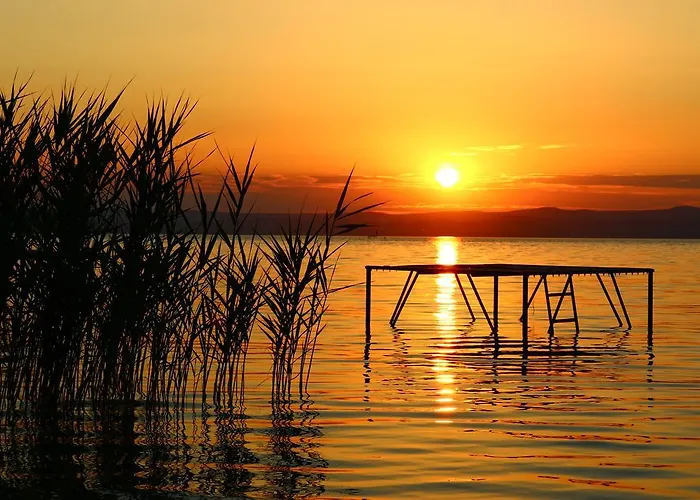 Nefelejcs בית נופש *